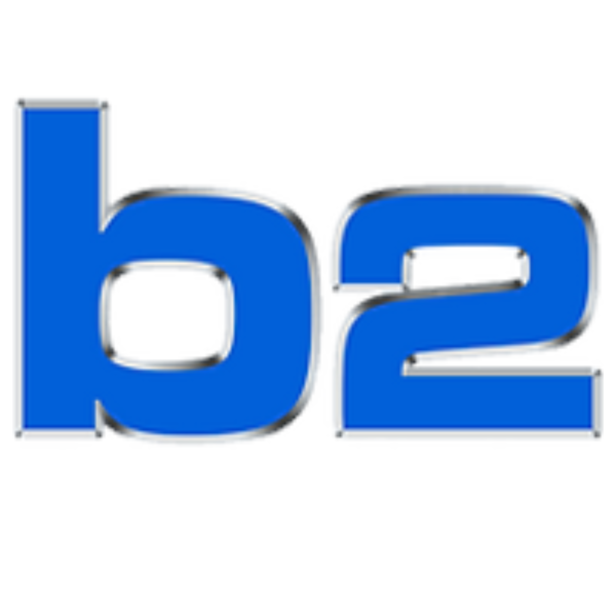 b2 Fighting Series Logo